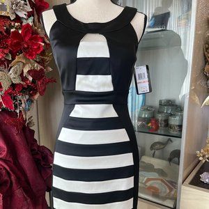 NWT-JAX Black and White Cocktail Dress  (Figure Flattering)